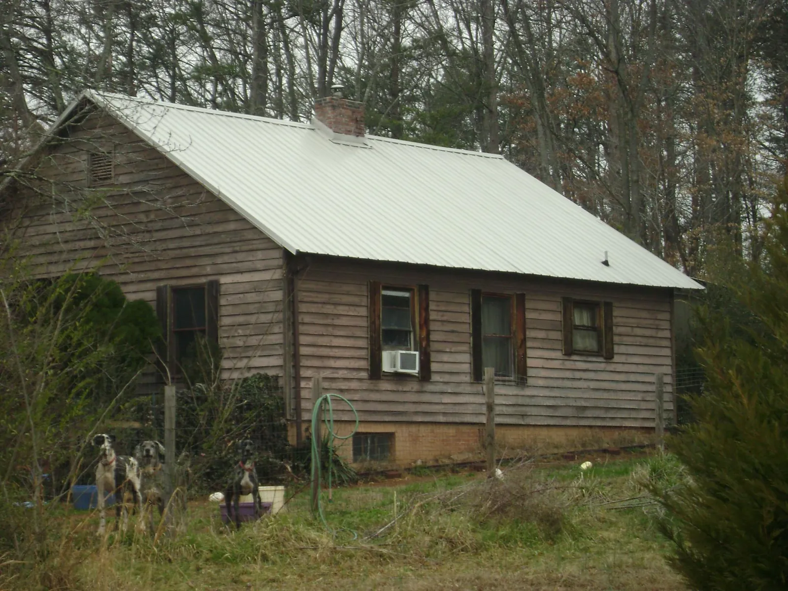 White metal roof on an old wood sided farmhouse, from a Asphalt Shingle Roof Repair job in Bellaire